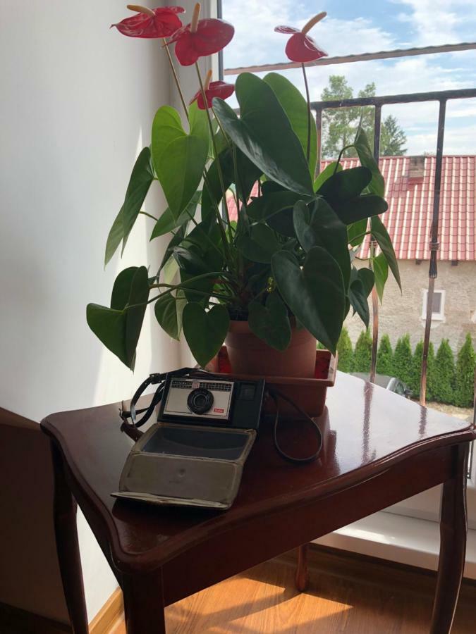 Vila Mária Rapovce Esterno foto